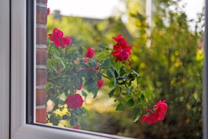 Photo 21- click for photo gallery